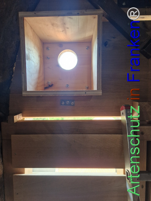 © Artenschutz in Franken® Bild zum Eintrag (1111827-160)