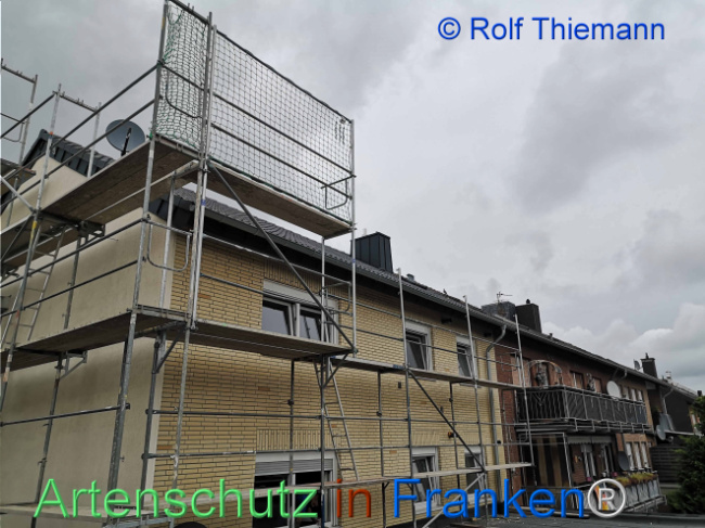 Bild zum Eintrag (1111852-160)