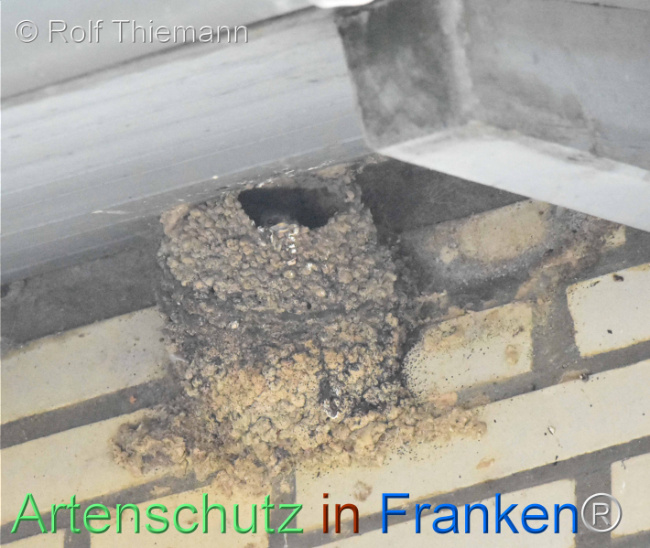 Bild zum Eintrag (1111854-160)