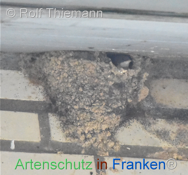 Bild zum Eintrag (1111855-160)