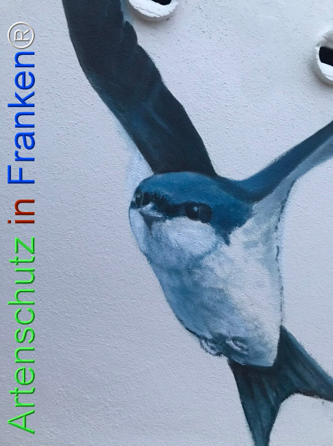© Artenschutz in Franken® Bild zum Eintrag (1111903-160)