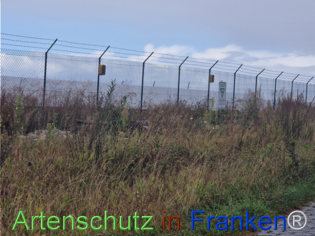 © Artenschutz in Franken® Bild zum Eintrag (1111910-160)