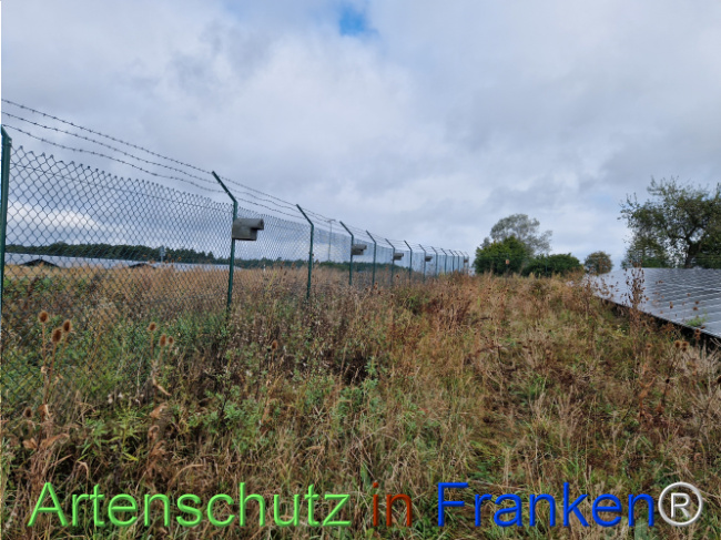 © Artenschutz in Franken® Bild zum Eintrag (1111924-160)