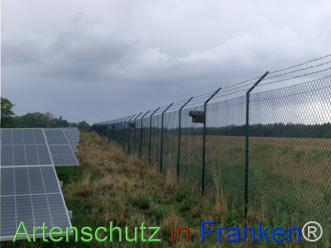 © Artenschutz in Franken® Bild zum Eintrag (1111925-160)