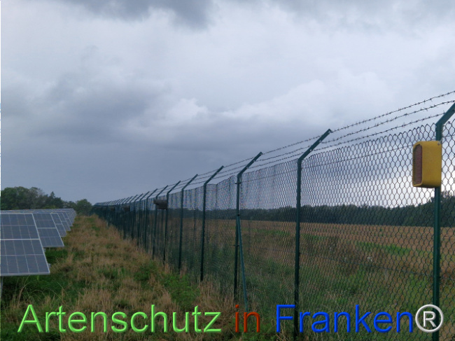 © Artenschutz in Franken® Bild zum Eintrag (1111927-160)