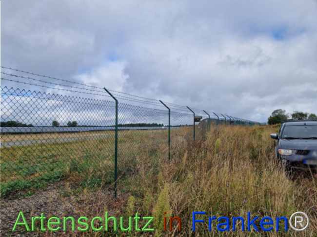 © Artenschutz in Franken® Bild zum Eintrag (1111928-160)