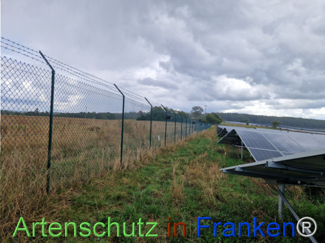 © Artenschutz in Franken® Bild zum Eintrag (1111929-160)
