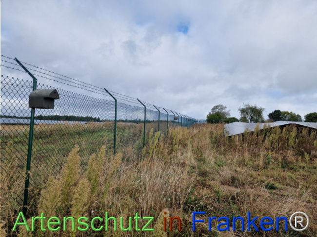 © Artenschutz in Franken® Bild zum Eintrag (1111931-160)
