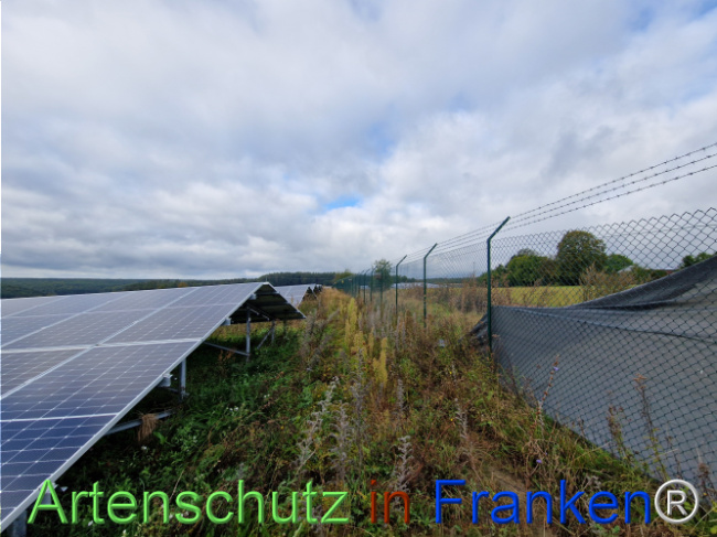 © Artenschutz in Franken® Bild zum Eintrag (1111932-160)