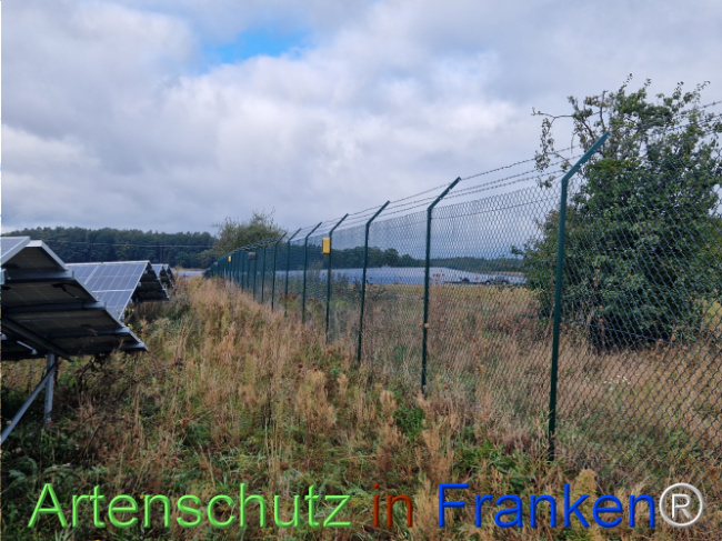 © Artenschutz in Franken® Bild zum Eintrag (1111933-160)