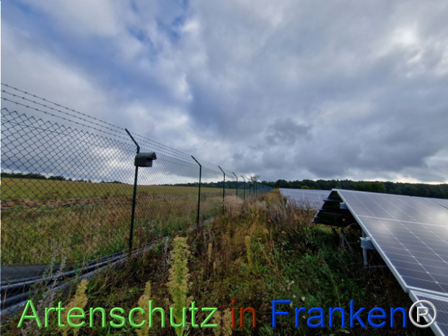 Bild zum Eintrag (1111936-160)