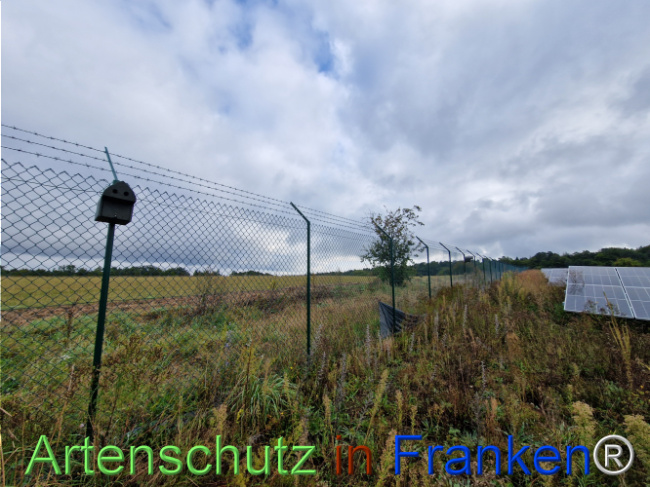 Bild zum Eintrag (1111937-160)