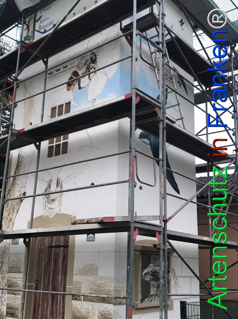 © Artenschutz in Franken® Bild zum Eintrag (1112108-160)