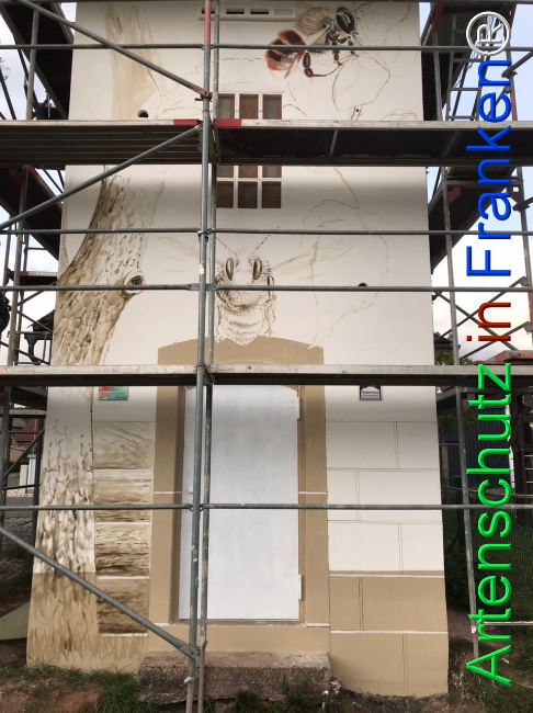 © Artenschutz in Franken® Bild zum Eintrag (1112109-160)