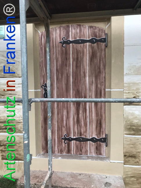 © Artenschutz in Franken® Bild zum Eintrag (1112110-160)