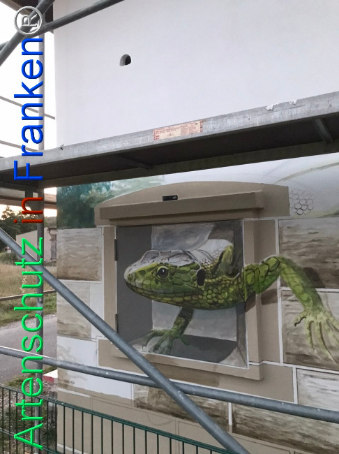 © Artenschutz in Franken® Bild zum Eintrag (1112250-160)