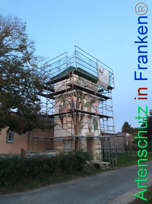 Bild zum Eintrag (1112254-160)