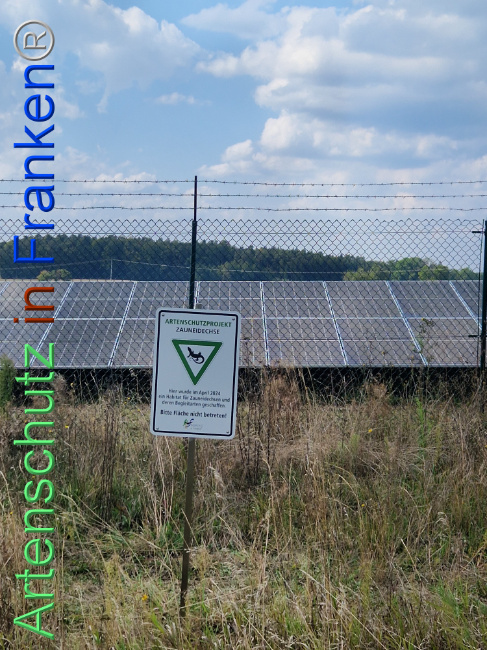 © Artenschutz in Franken® Bild zum Eintrag (1112276-160)