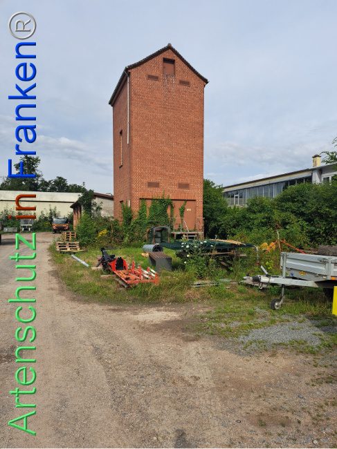 Bild zum Eintrag (1112293-160)