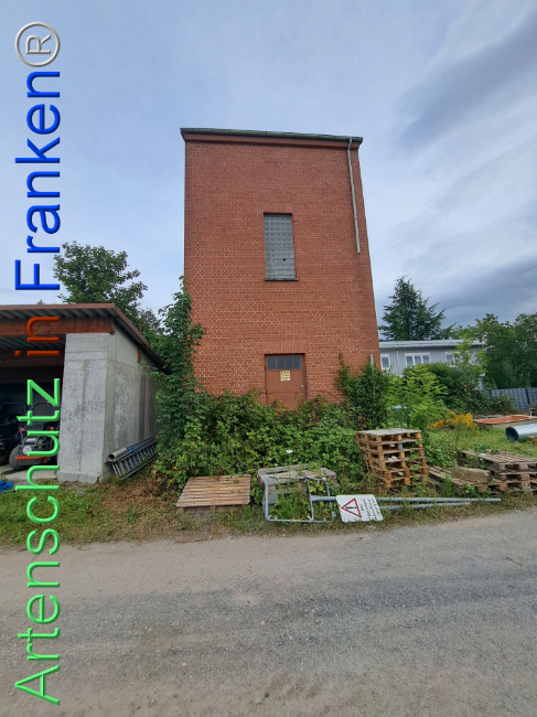 Bild zum Eintrag (1112295-160)