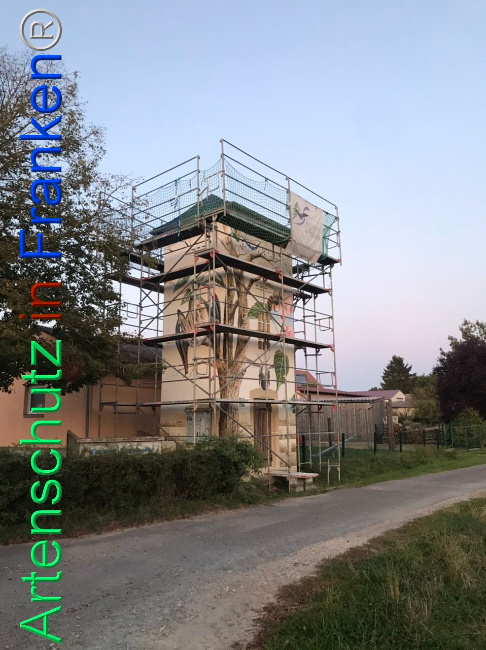 Bild zum Eintrag (1112300-160)