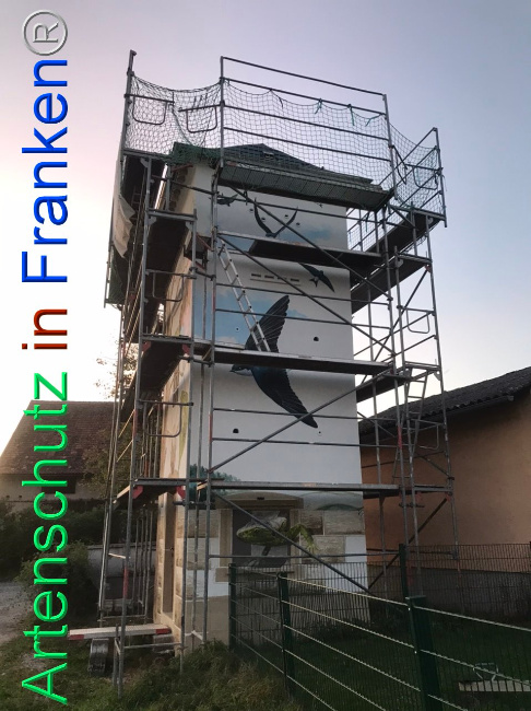 Bild zum Eintrag (1112301-160)