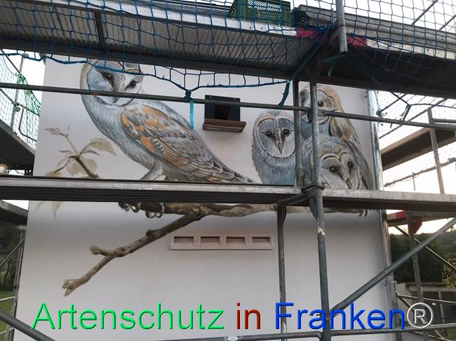 © Artenschutz in Franken® Bild zum Eintrag (1112304-160)