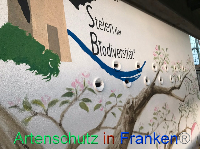 © Artenschutz in Franken® Bild zum Eintrag (1112308-160)
