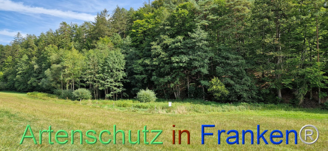 © Artenschutz in Franken® Bild zum Eintrag (1112383-160)