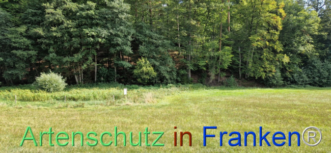 © Artenschutz in Franken® Bild zum Eintrag (1112385-160)