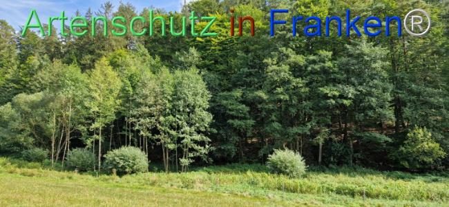 © Artenschutz in Franken® Bild zum Eintrag (1112389-160)