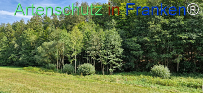 Bild zum Eintrag (1112391-160)