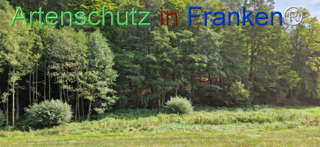 Bild zum Eintrag (1112392-160)