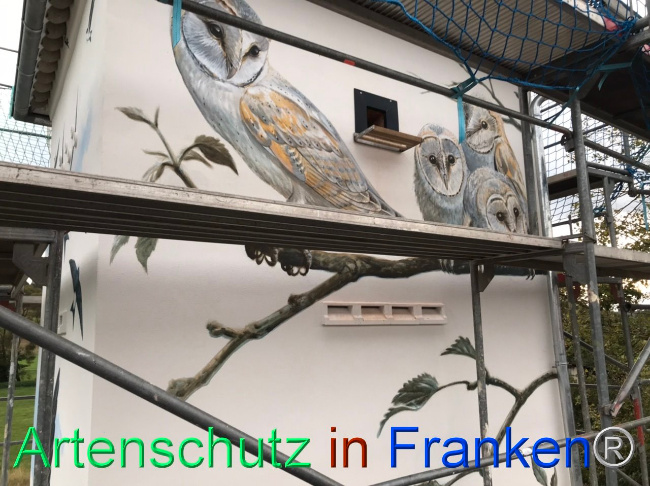 © Artenschutz in Franken® Bild zum Eintrag (1112503-160)