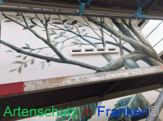 © Artenschutz in Franken® Bild zum Eintrag (1112504-160)
