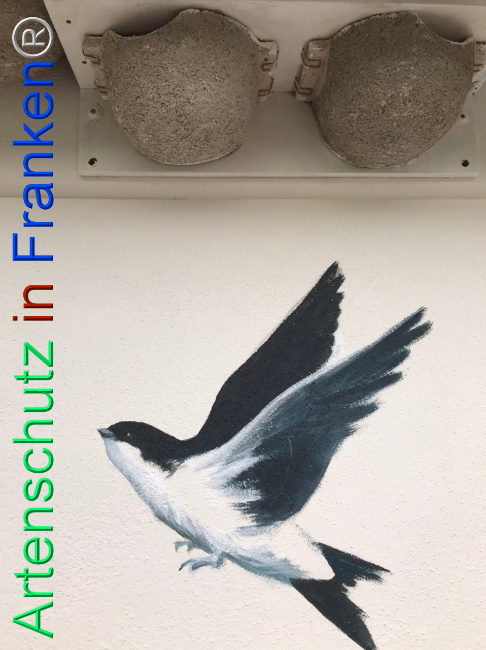 © Artenschutz in Franken® Bild zum Eintrag (1112506-160)
