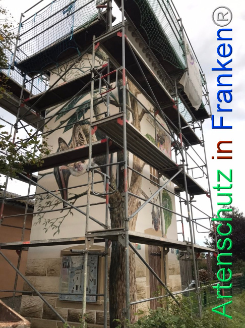 © Artenschutz in Franken® Bild zum Eintrag (1112507-160)
