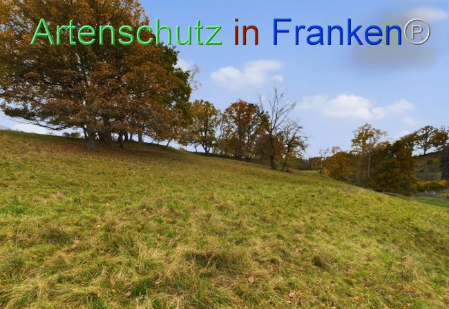 Bild zum Eintrag (1112542-160)