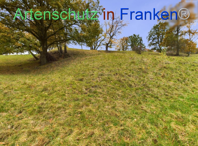 Bild zum Eintrag (1112547-160)