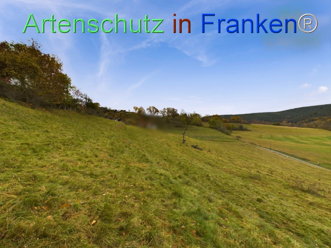 Bild zum Eintrag (1112548-160)
