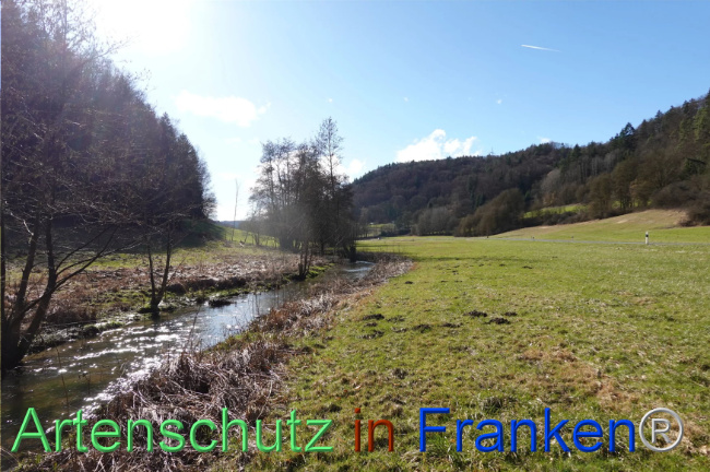 Bild zum Eintrag (1112581-160)