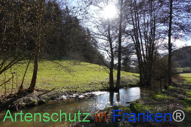 Bild zum Eintrag (1112582-160)