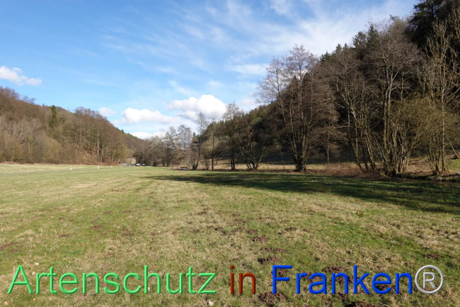 Bild zum Eintrag (1112587-160)