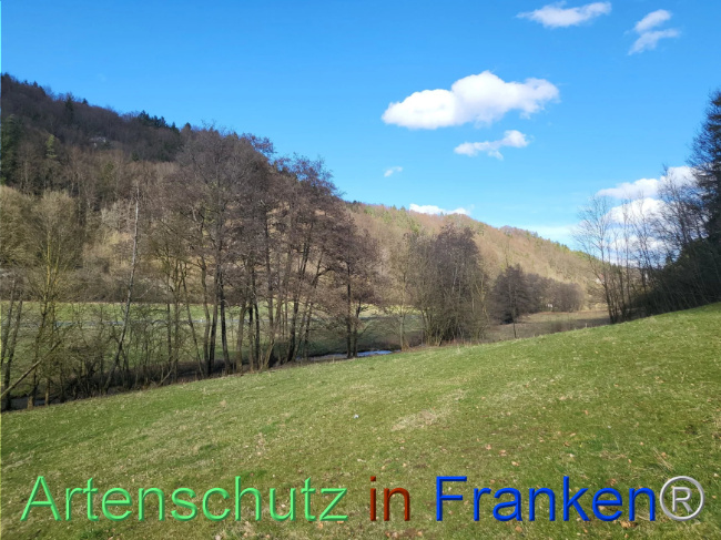 Bild zum Eintrag (1112588-160)
