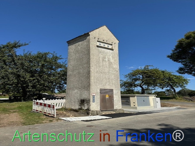 © Artenschutz in Franken® Bild zum Eintrag (1112674-160)