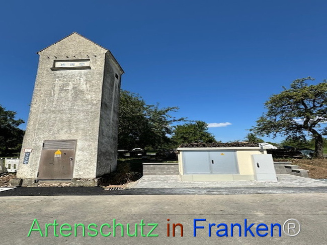 © Artenschutz in Franken® Bild zum Eintrag (1112677-160)