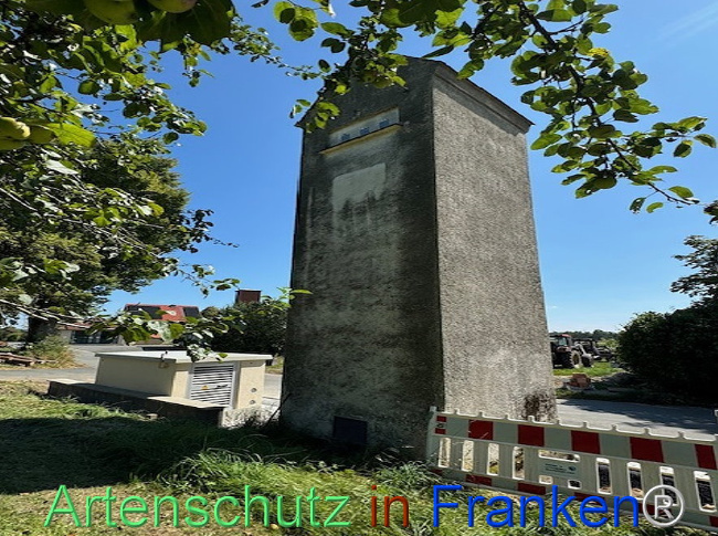 © Artenschutz in Franken® Bild zum Eintrag (1112679-160)