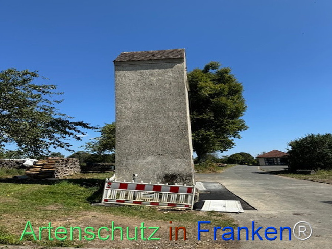 © Artenschutz in Franken® Bild zum Eintrag (1112680-160)