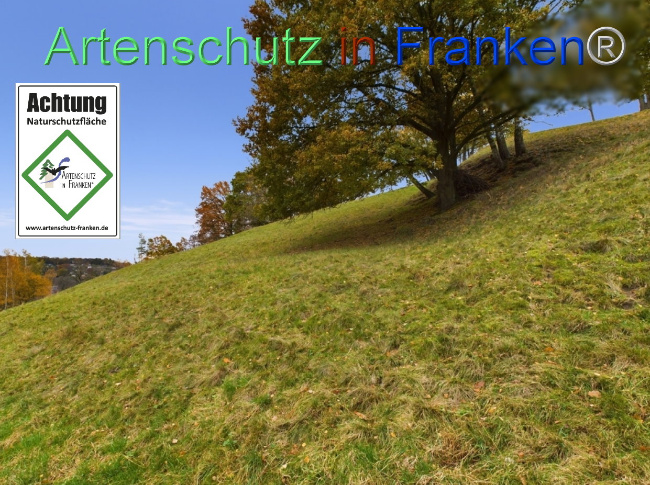Bild zum Eintrag (1112761-160)