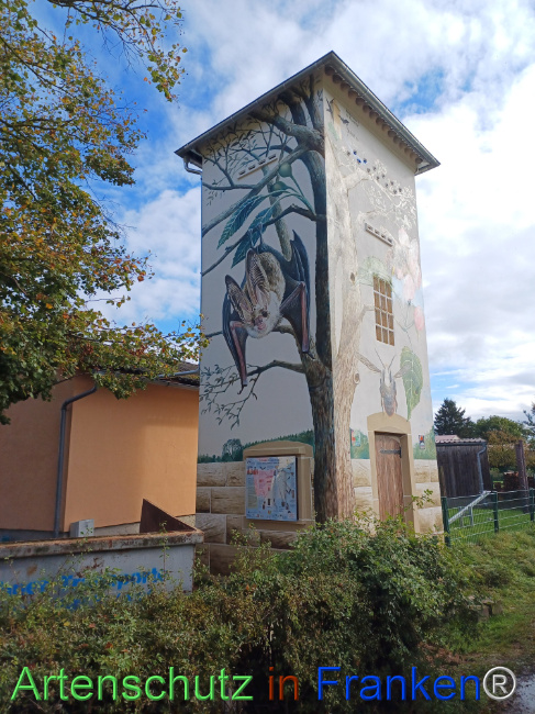 © Artenschutz in Franken® Bild zum Eintrag (1112822-160)